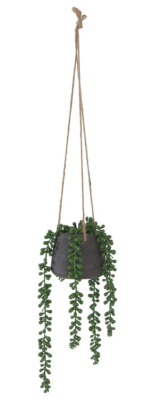 Argos Home Kanso Trailing Artificial House Plant Reviews Updated June