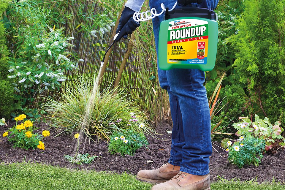 A person spraying Roundup® weed control liquid over plants. 