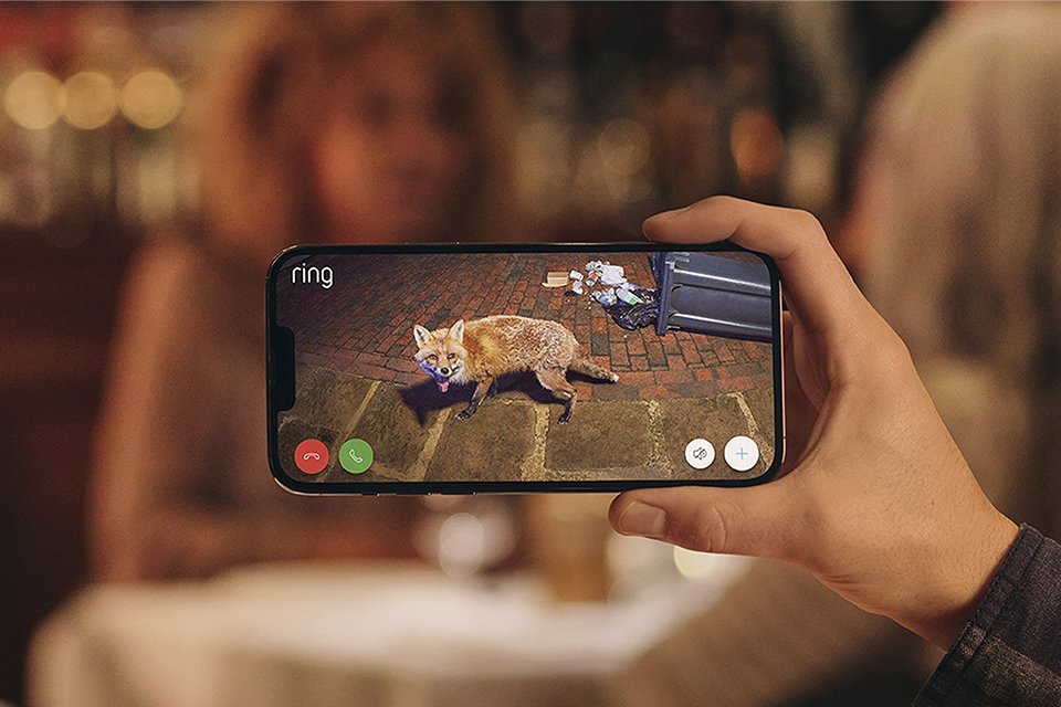 Someone holding a phone displaying security camera footage of a fox at door.