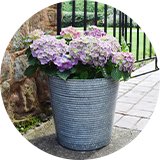 Flowers in a Ivyline 37cm Ribbed Galvanised Planter.