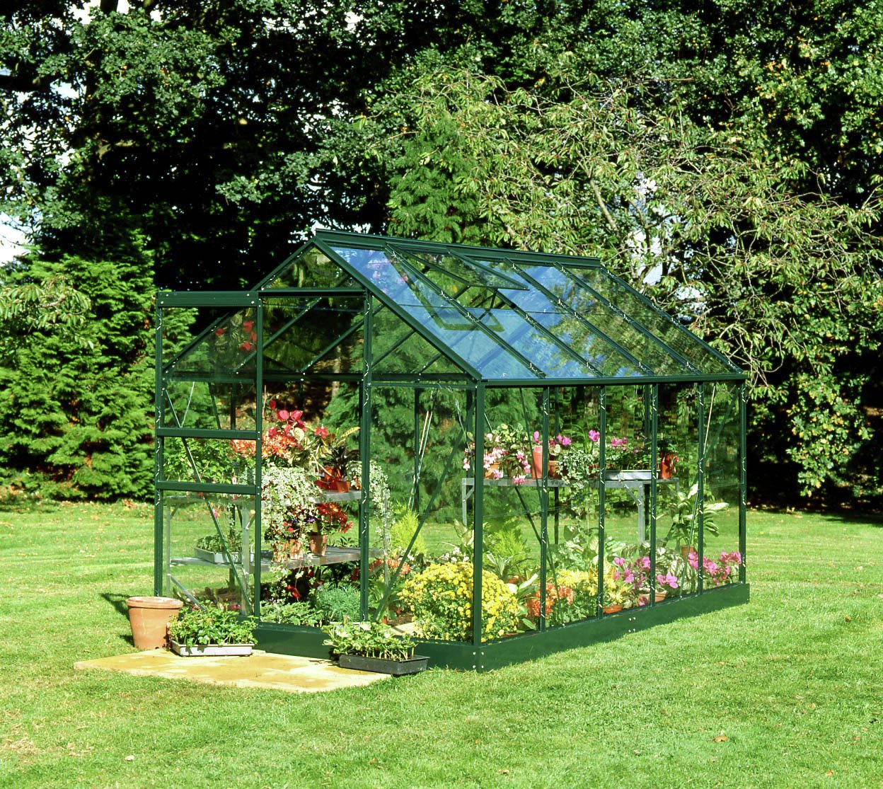 Halls Popular Glass 10 x 6ft Greenhouse with Base