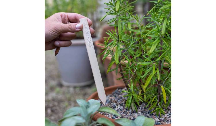 Marshalls Garden Wooden Plant Pencil and Labels - Set Of 6