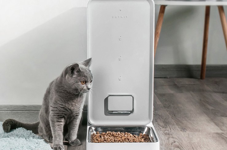 argos cat food dispenser