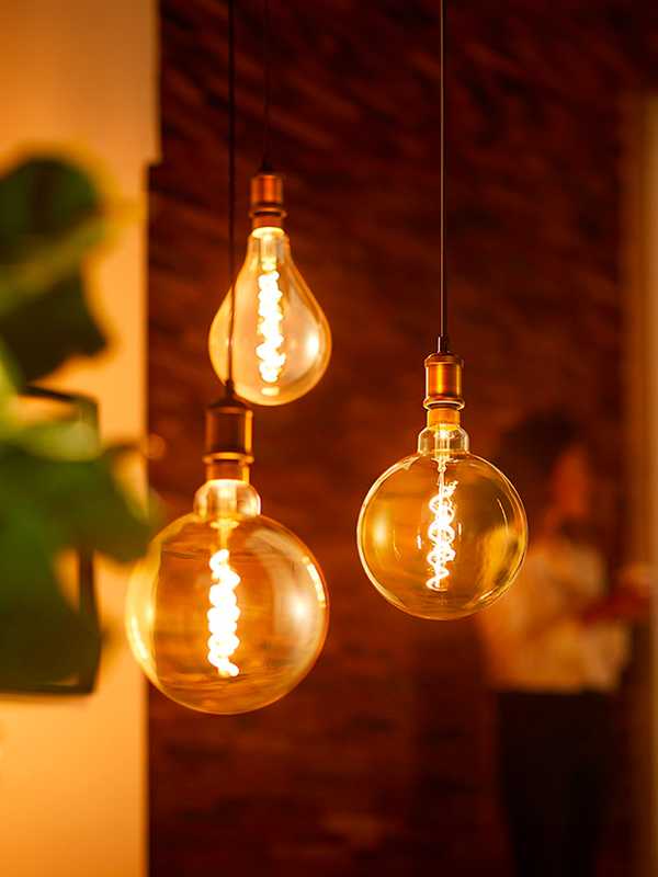Tough decision? Explore our light bulbs guide.