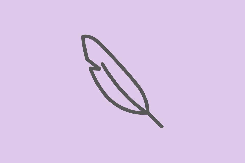 A hair dryer icon of a feather.