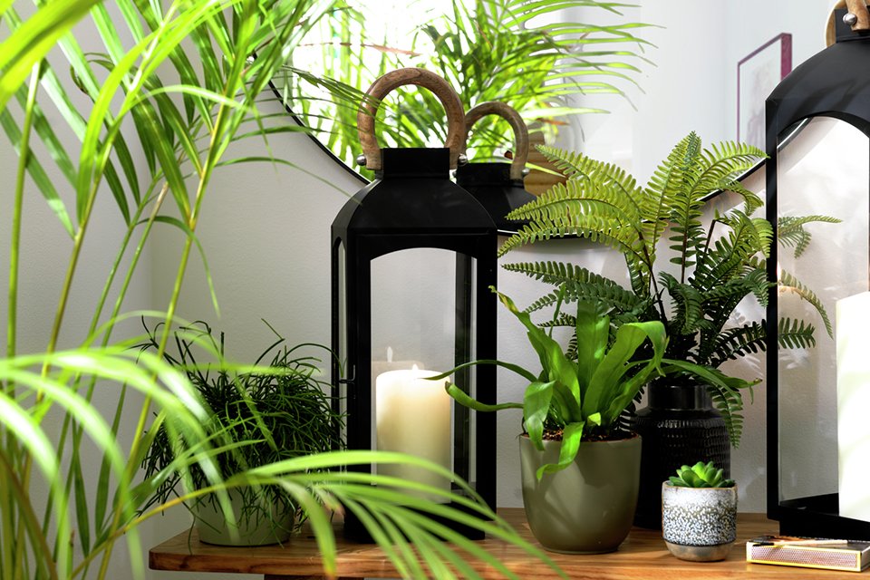 Home decor. Perk up your space for the festive time with charming home decor.