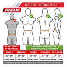 Weightlifting discount belt argos