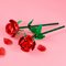 LEGO Creator Roses Flower Bouquet Set 40460
