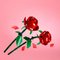 LEGO Creator Roses Flower Bouquet Set 40460