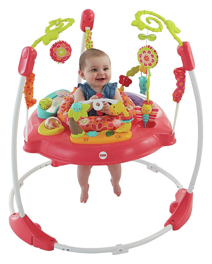 Fisher-Price Pink Petals Jumperoo