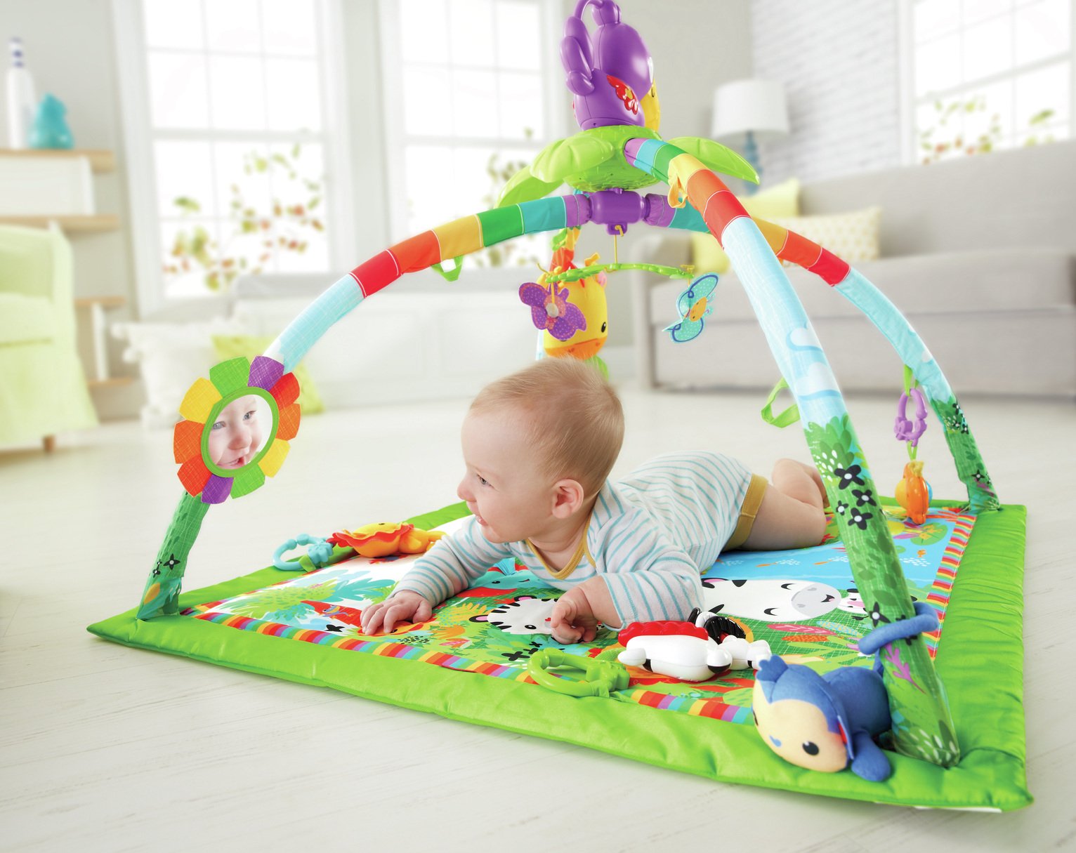 fisher price gym for babies