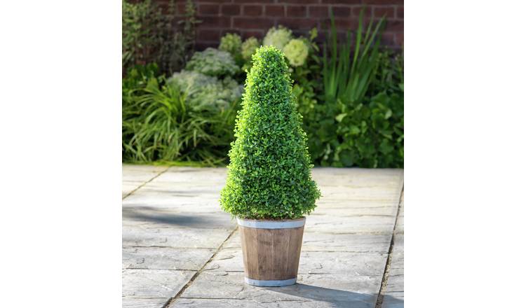 Garden by Sainsbury's Faux Cone Tree Wooden Pot