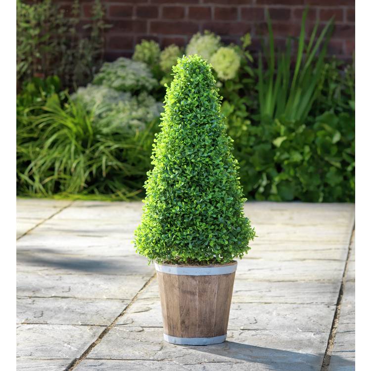 Garden by Sainsbury's Faux Cone Tree Wooden Pot 0