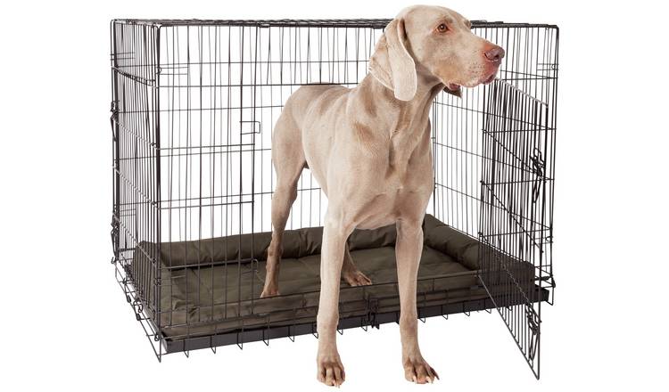 Plastic dog hot sale kennel xxl