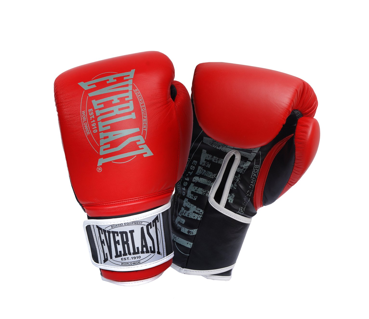 Everlast 14oz Leather Boxing Gloves Review