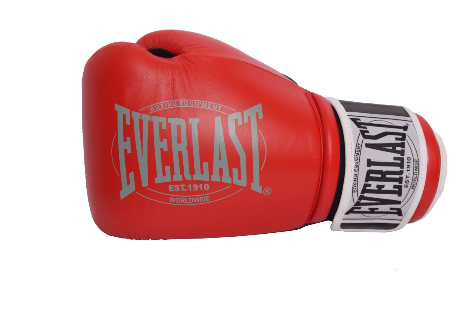 Everlast 14oz Leather Boxing Gloves Review