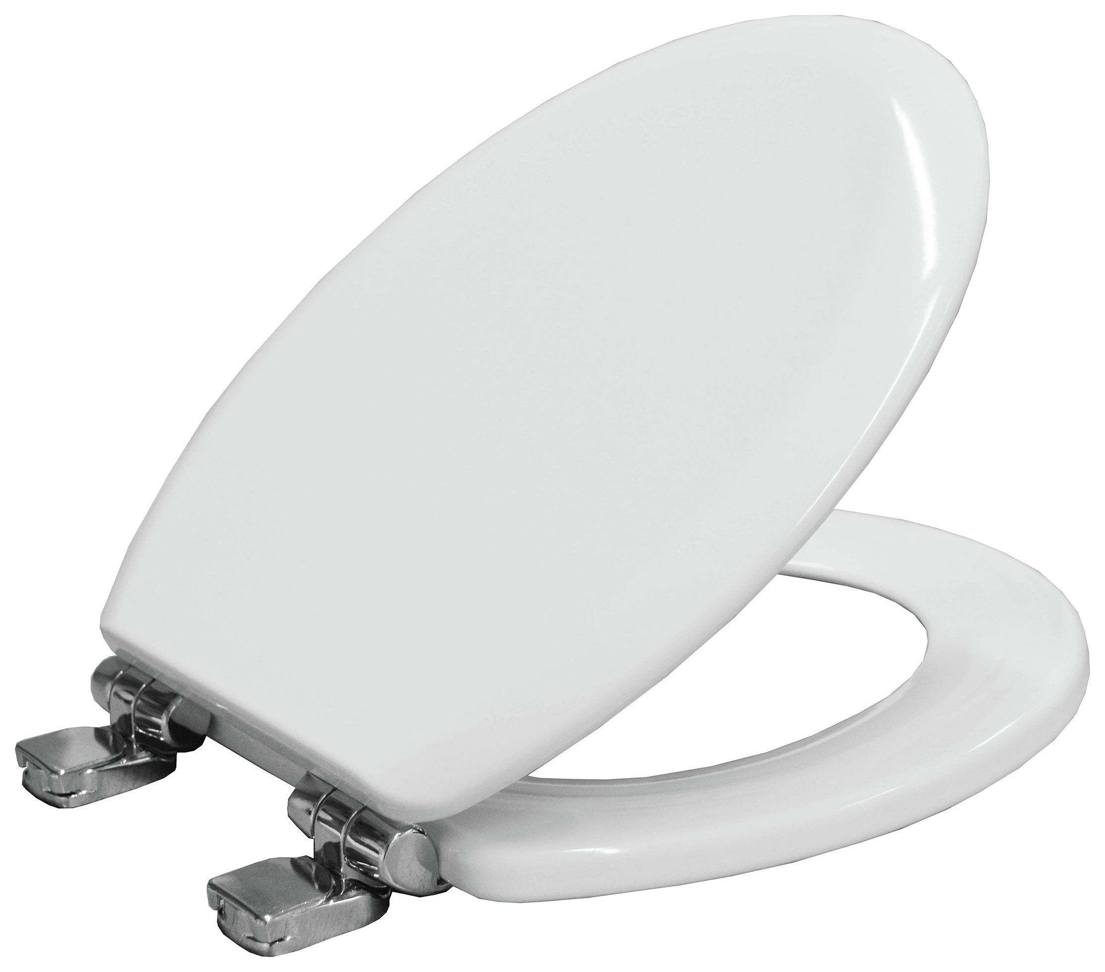 Bemis Chicago Statite Toilet Seat Review