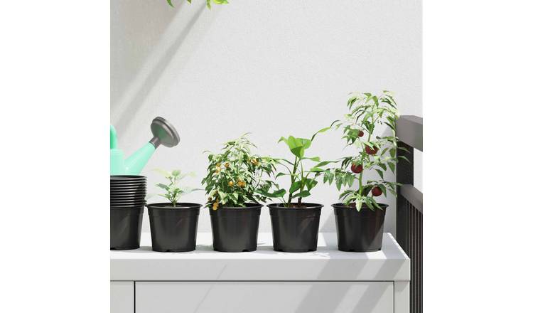Walplus Pack of 50 Plastic Round Plant Pot - Black - 10 x 10 x 8 cm