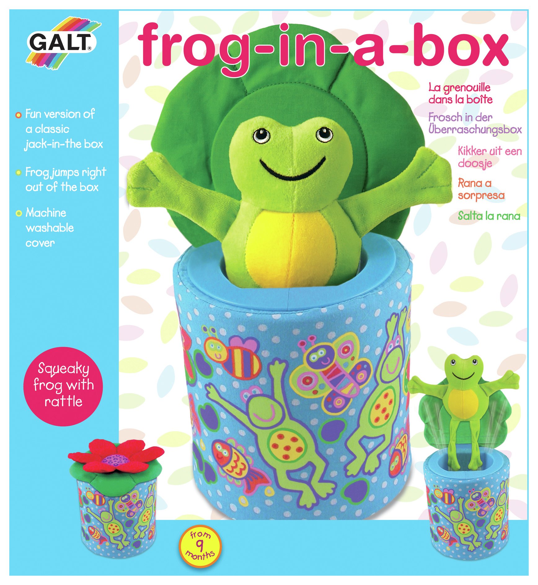 galt frog in a box