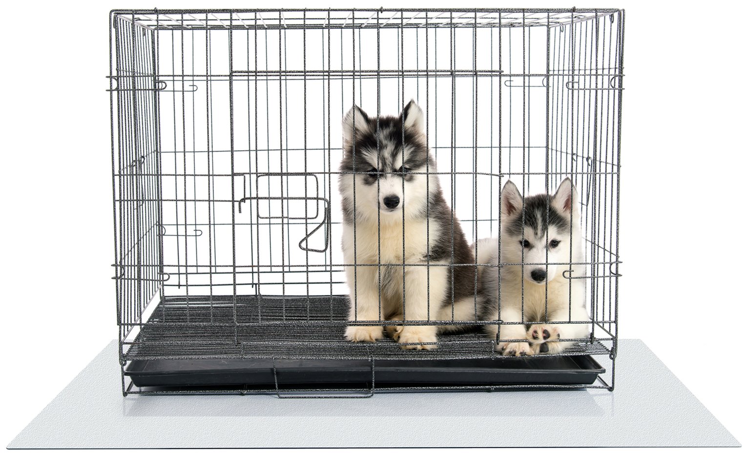 dog crates at argos