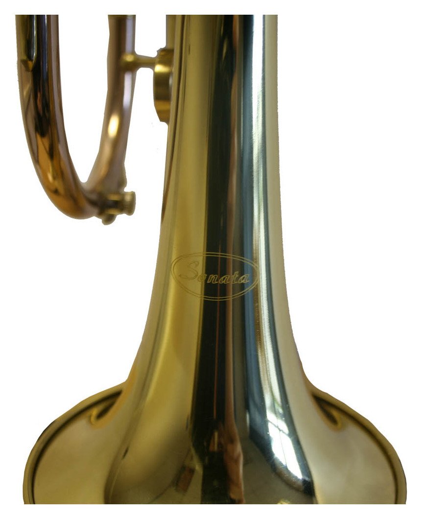 Sonata Student BB Reviews