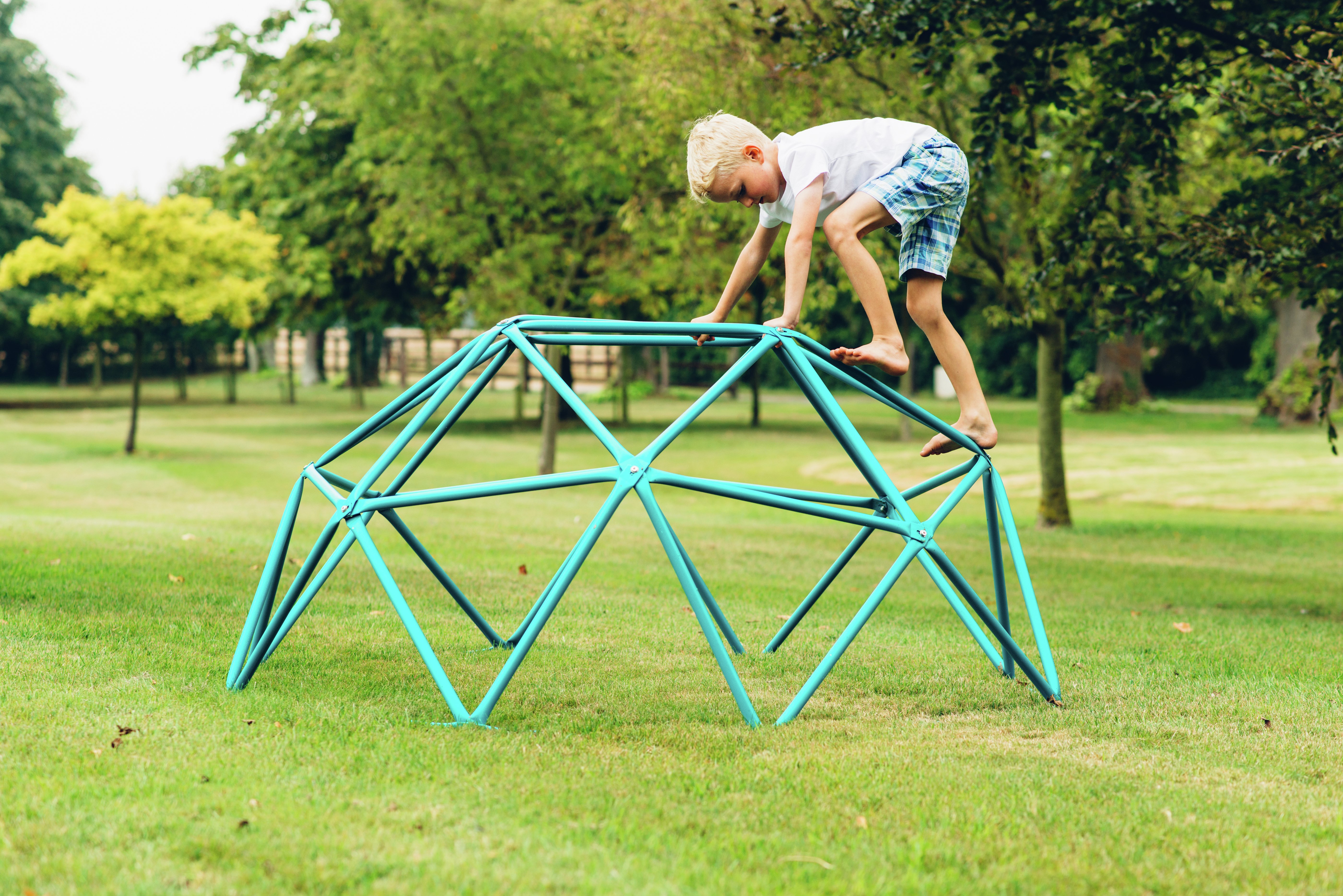 Plum Large Climbing Dome Reviews