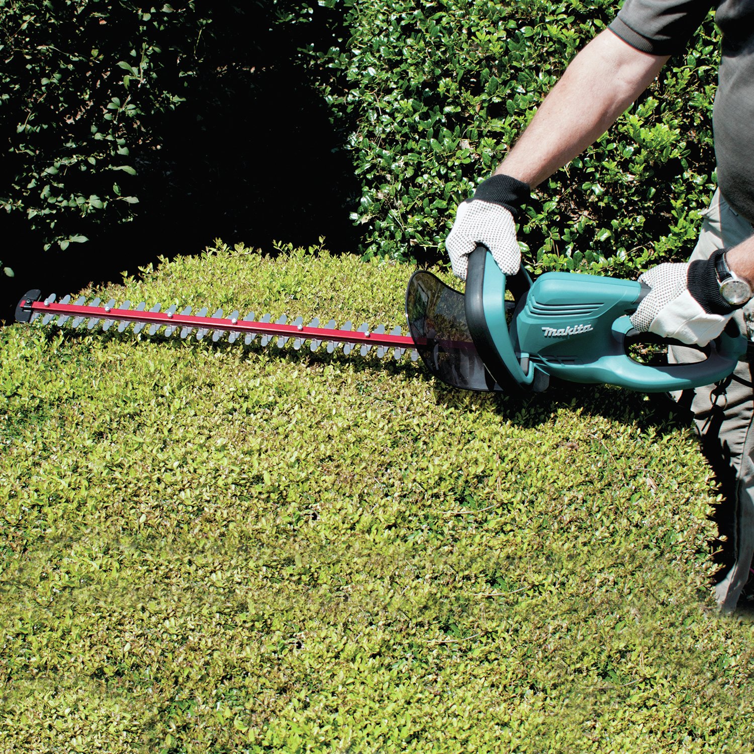 Makita UH5570 Hedge Trimmer at Argos Reviews