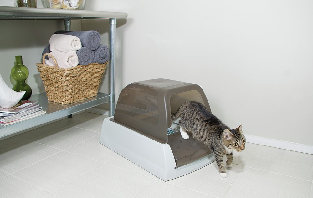 argos cat litter tray