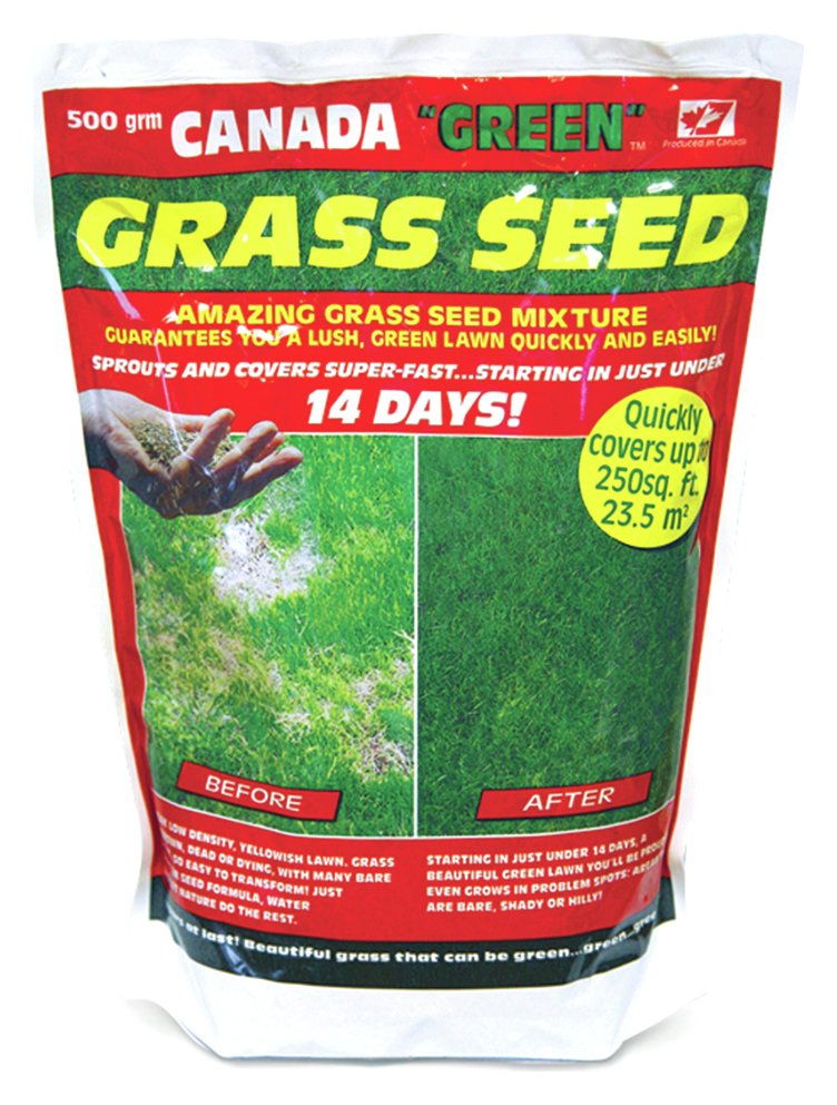 Canada Green Grass Seed Pack - 500g