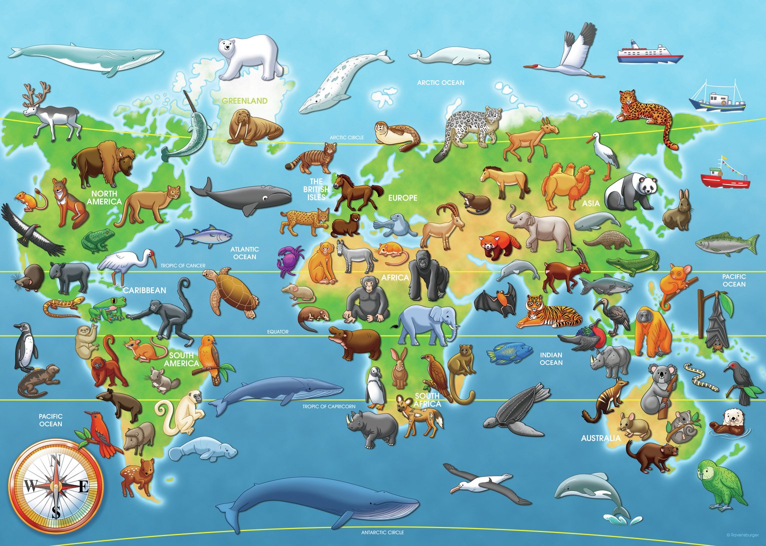 Endangered Animals 60 Piece Floor Puzzlle Review