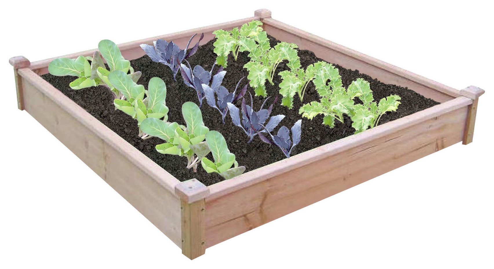 Spear & Jackson Raised Bed Kit