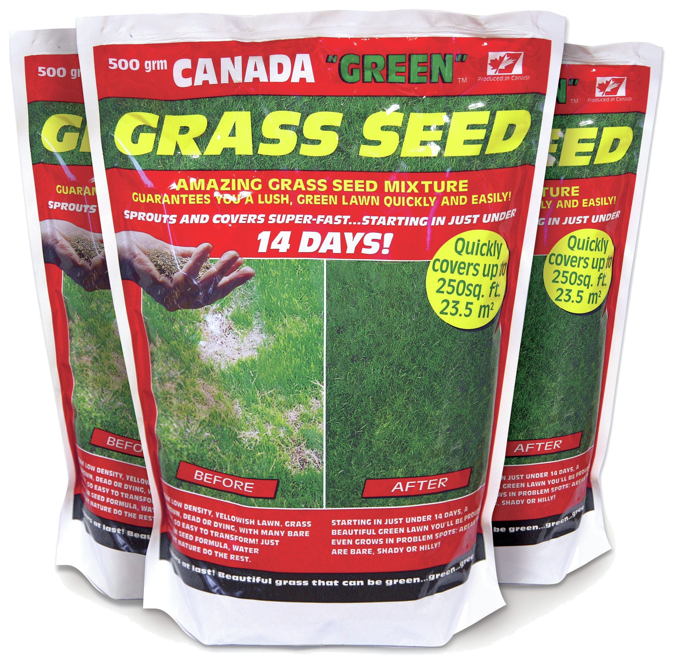 Canada Green Grass Seed Pack - 500g - Buy 2 Get 1 Free