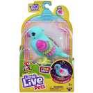 Little live pets outlet bird argos