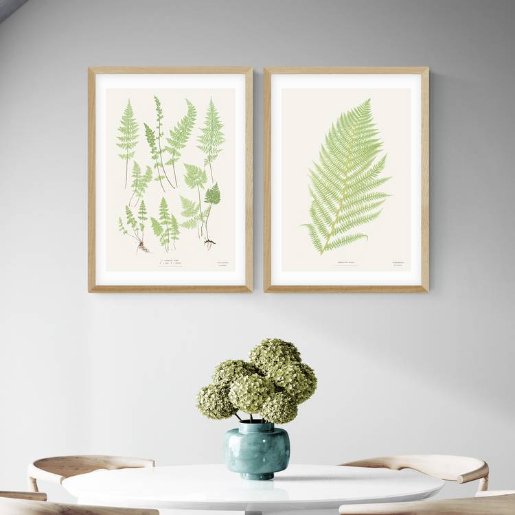 East End Prints Botan Vintage Oak Frame Art Print - A2 0