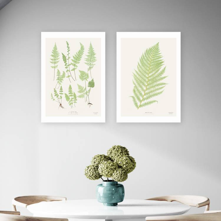 East End Prints Botan Vintage Art Print - A2 0