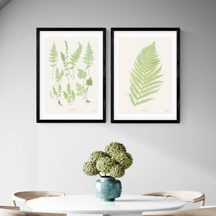 East End Prints Botan Vintage Black Frame Art Print - A3 0