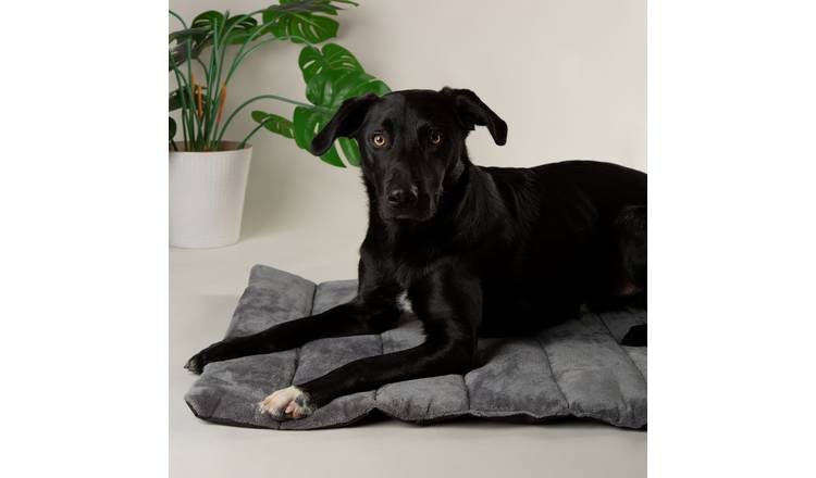 Scruffs Roll Out Travel Pet Bed-Large