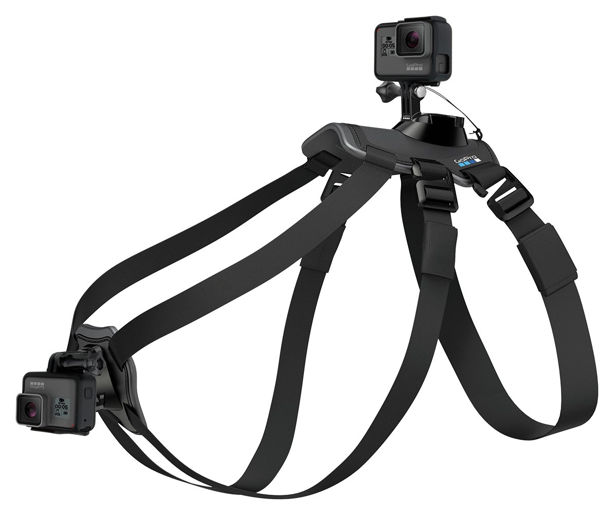 GoPro Fetch Dog Harness Mount