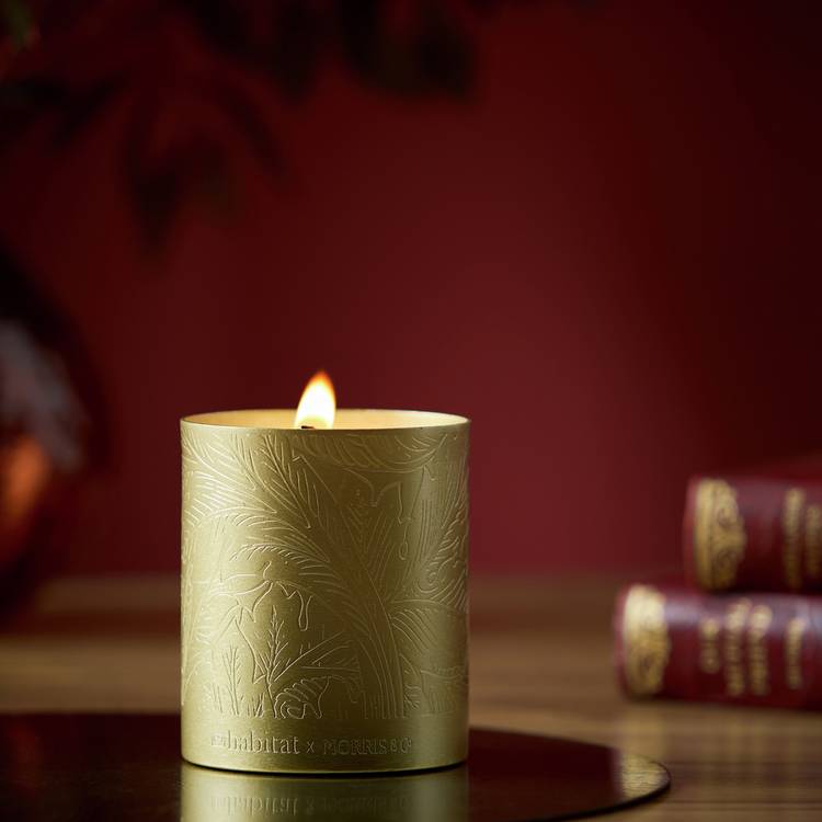 Habitat x Morris & Co. Oak & Fallen Acorn Single Candle 0