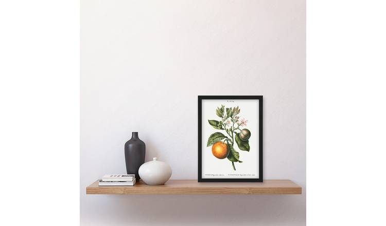 Pierre J Redoute Bitter Orange Vintage Botanical Framed Art Print - A4