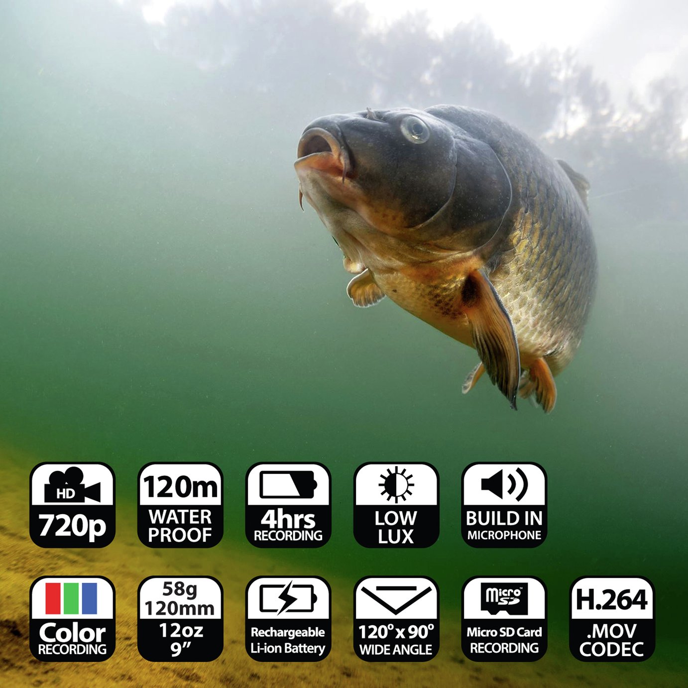 Water Wolf Underwater Fishing Camera Reviews