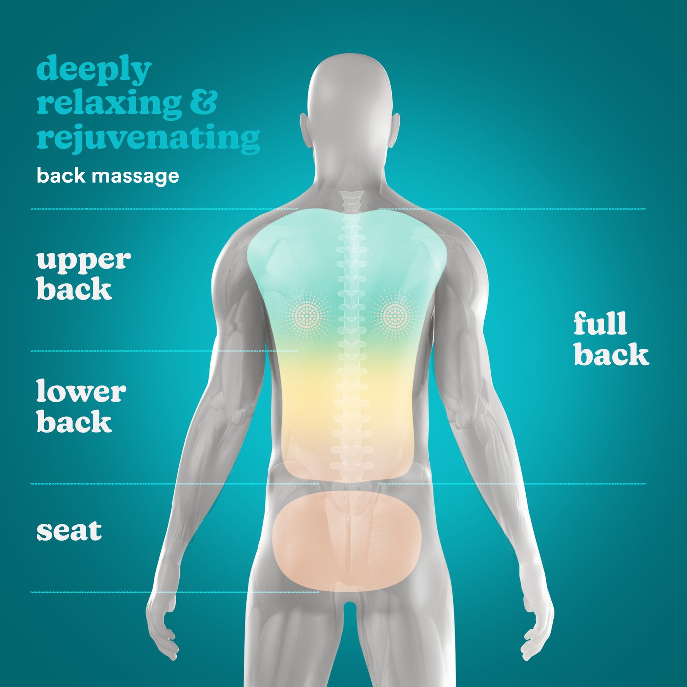 HoMedics Shiatsu Pro Back Massager Reviews