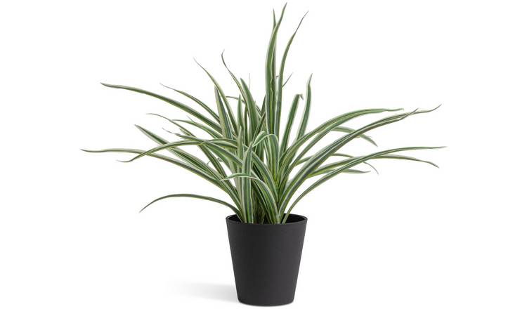 Argos Home Artificial Green Large Spider Plant - 38cm