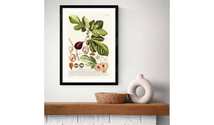 East End Prints Ficus Black Frame Art Print - A2