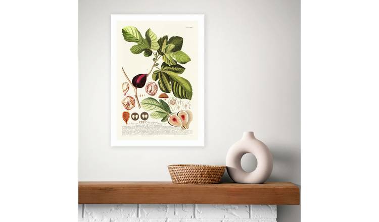East End Prints Ficus Art Print - A2