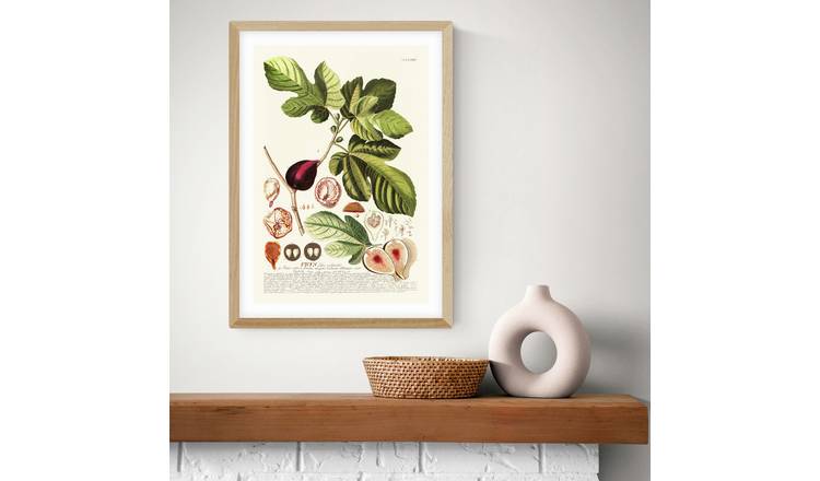 East End Prints Ficus Oak Frame Art Print - A3