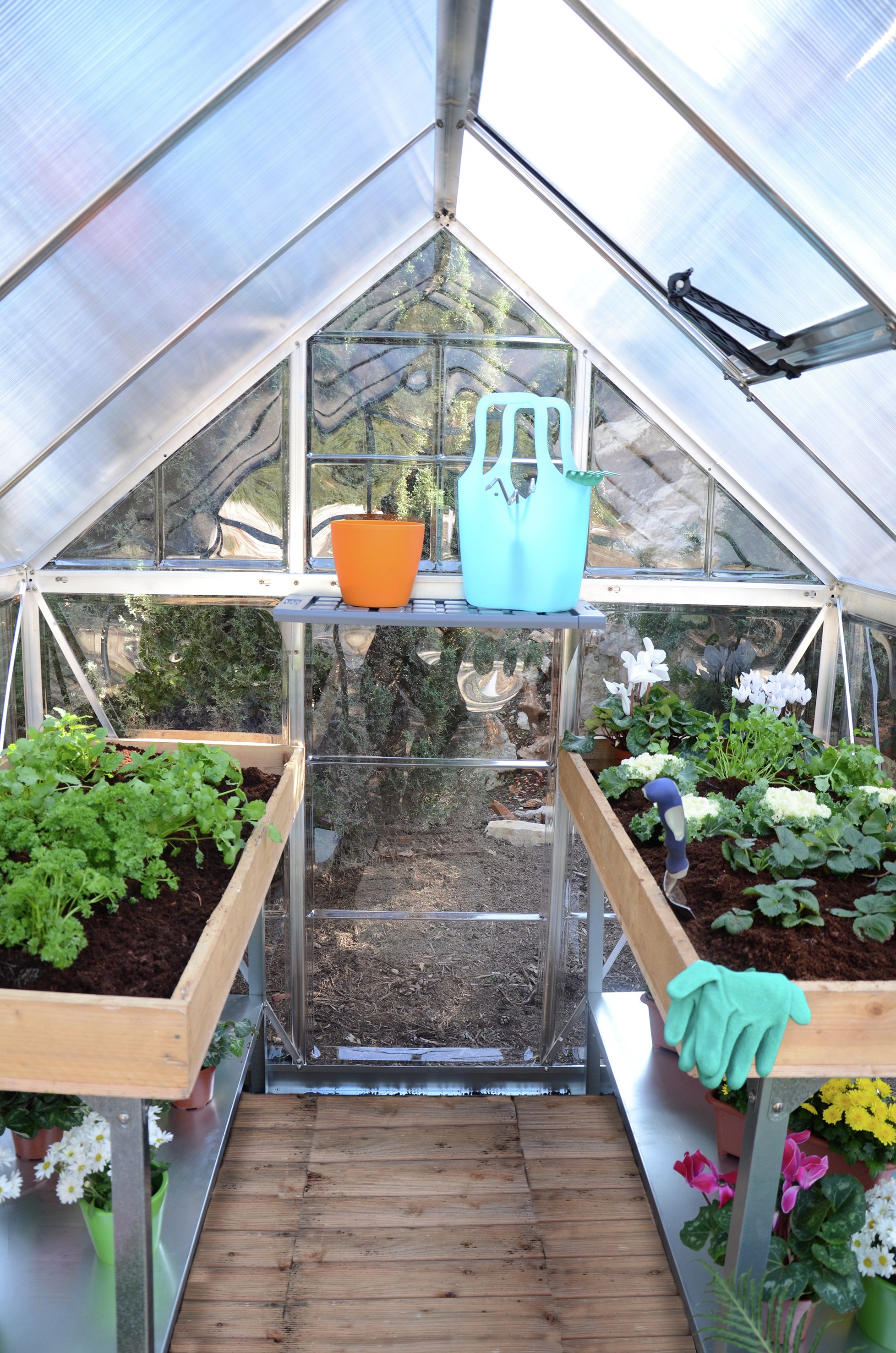 Mill Poly twinwalled 6 x 6ft Greenhouse at Argos Reviews