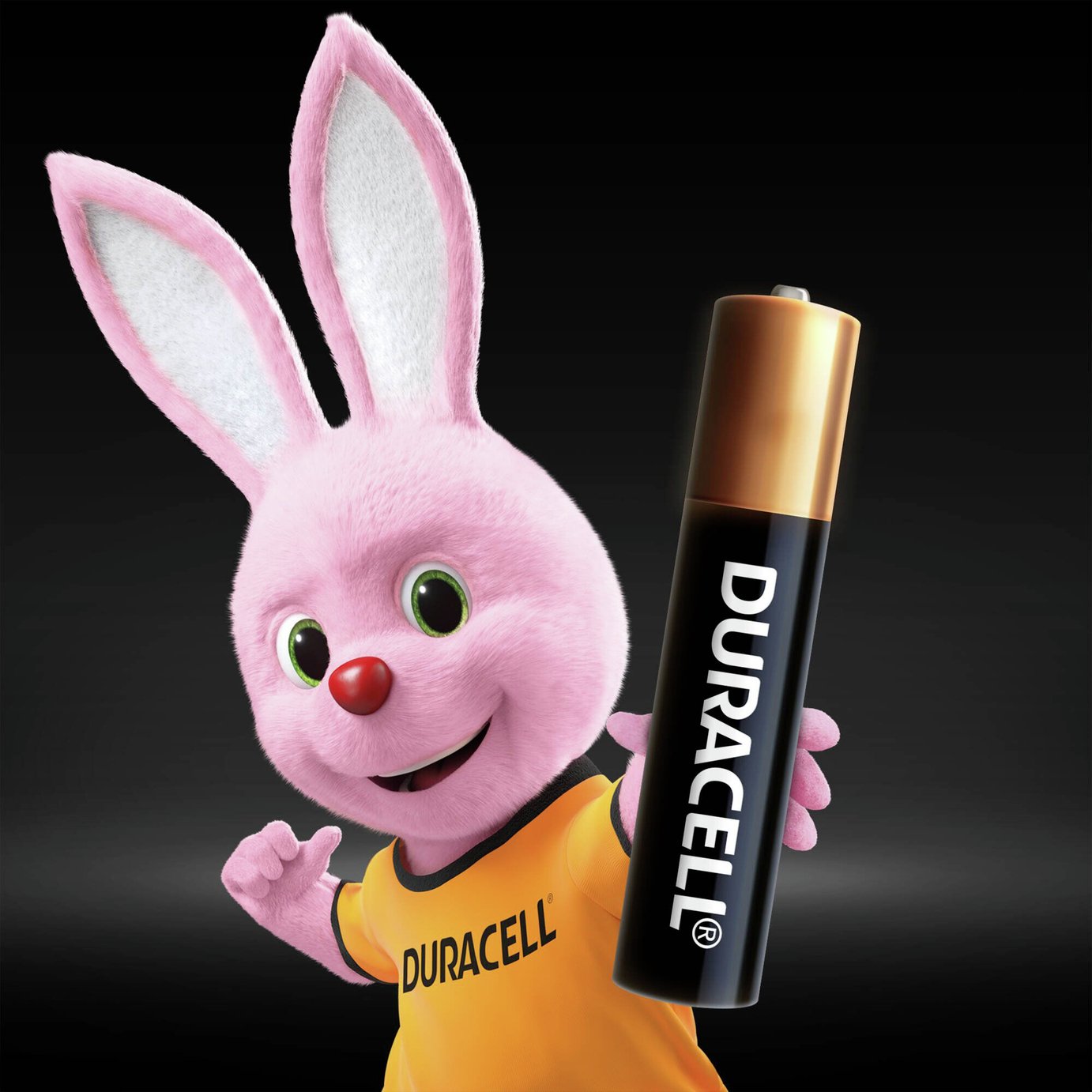 Duracell Specialty Alkaline AAAA Battery 1,5V Review