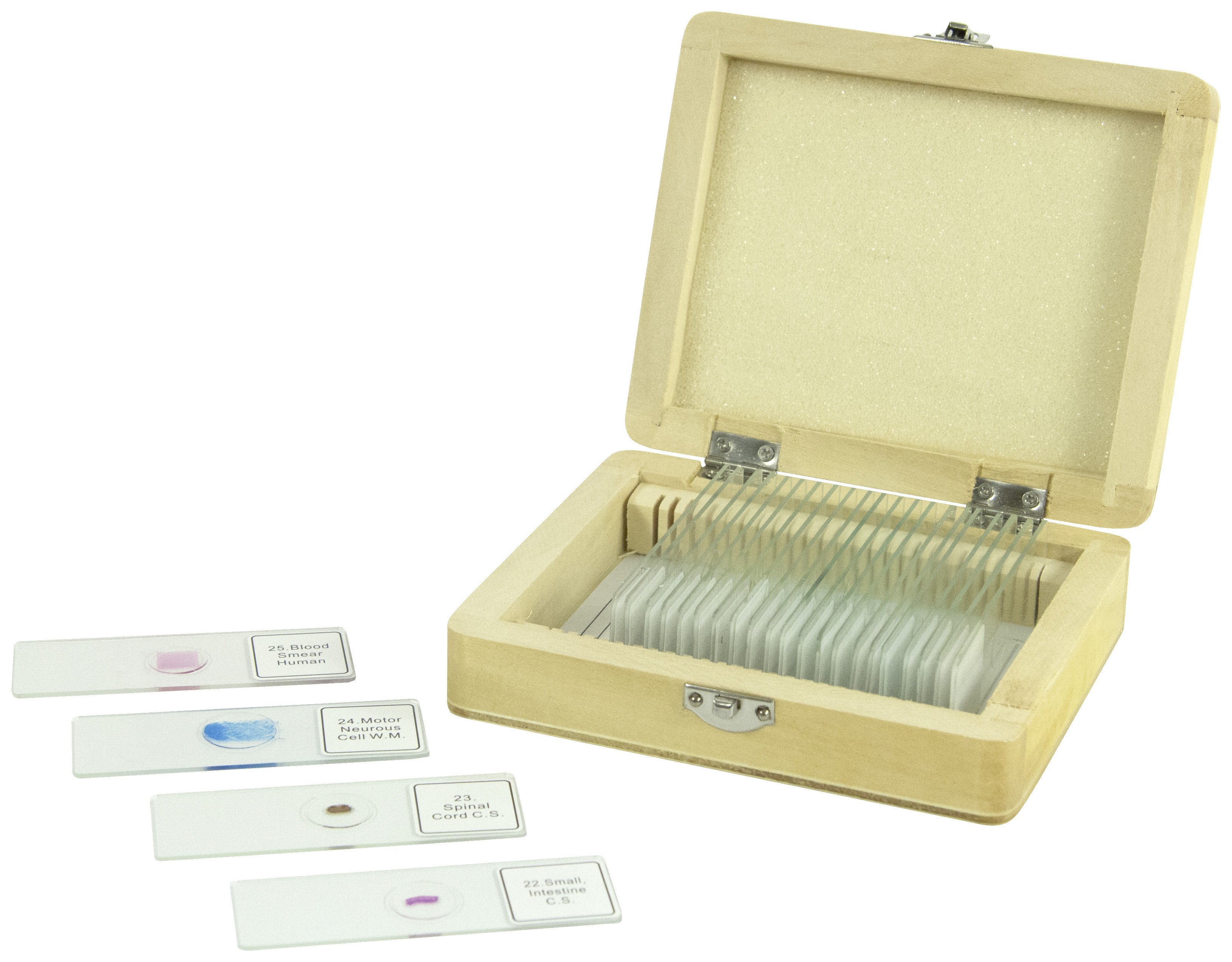 Celestron Prepared Microscope Slides 25 Piece Box