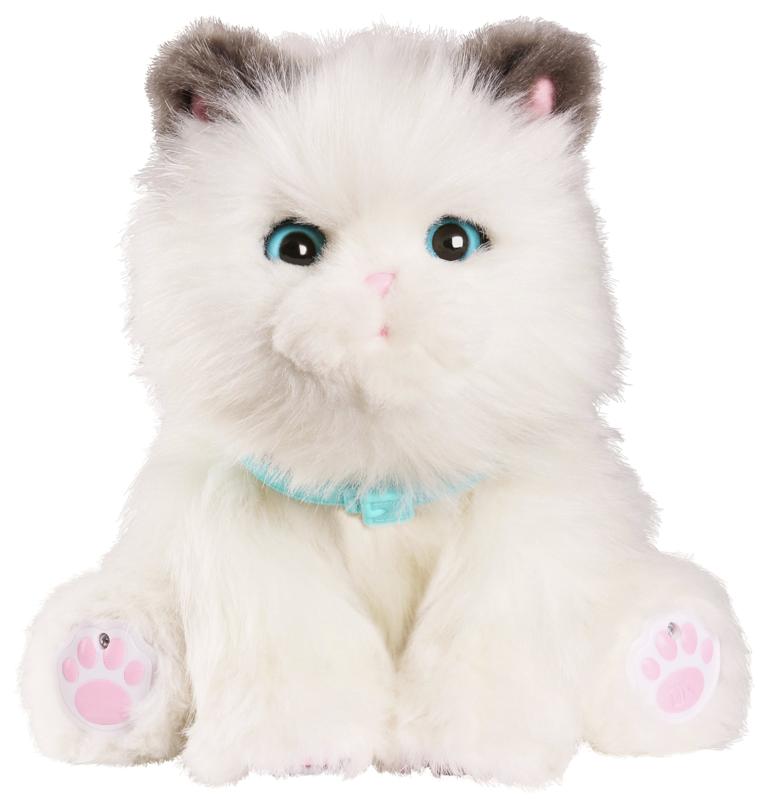 Little Live Pets My Dream Kitten Playset Reviews